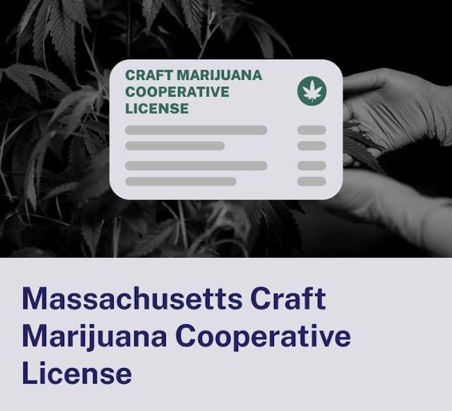 Massachusetts Craft Marijuana Cooperative License