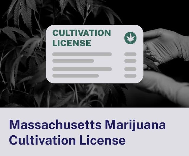 Massachusetts Marijuana Cultivation License