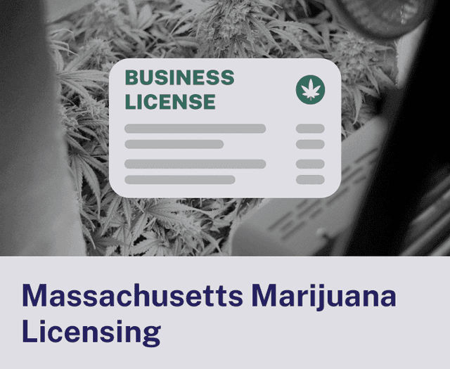 Massachusetts Marijuana Licensing