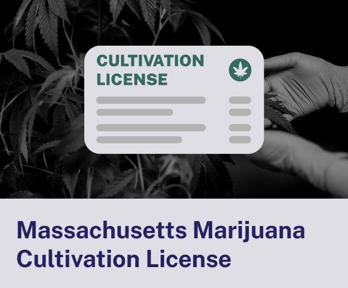 Massachusetts Marijuana Cultivation License