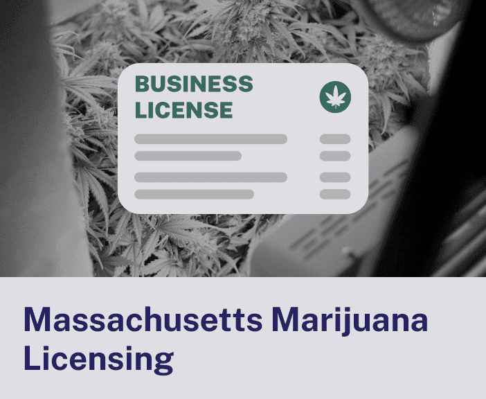 Massachusetts Marijuana Licensing