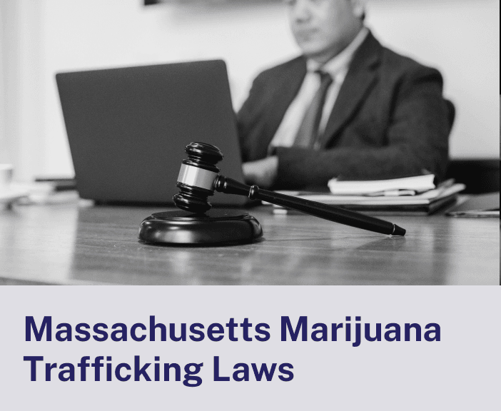 Massachusetts Marijuana Trafficking Laws